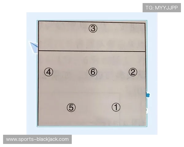 21点游戏中如何科学合理地进行下注策略推荐与实用技巧